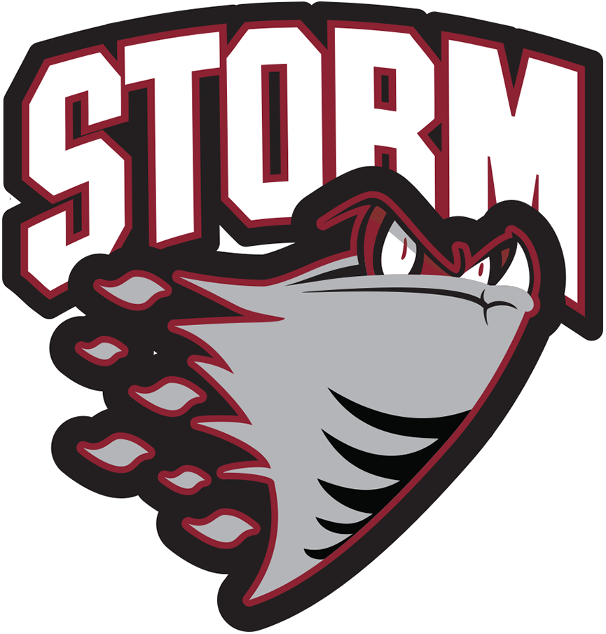 Guelph Storm 1997-2007 Primary Logo iron on heat transfer